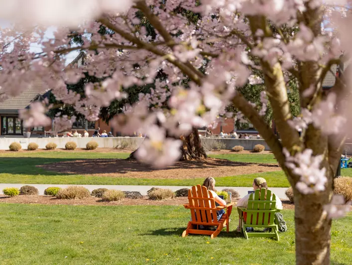 Students relax outside on a sunny day.